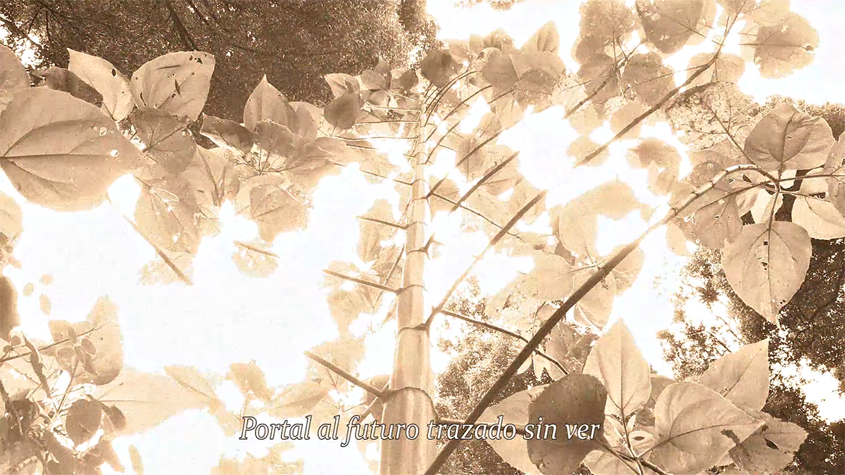 Quye Lengua Ramaje de Laura Riaño, exposición abierta desde el 4 al 27 de febrero de 2026 en la Sala de Proyectos