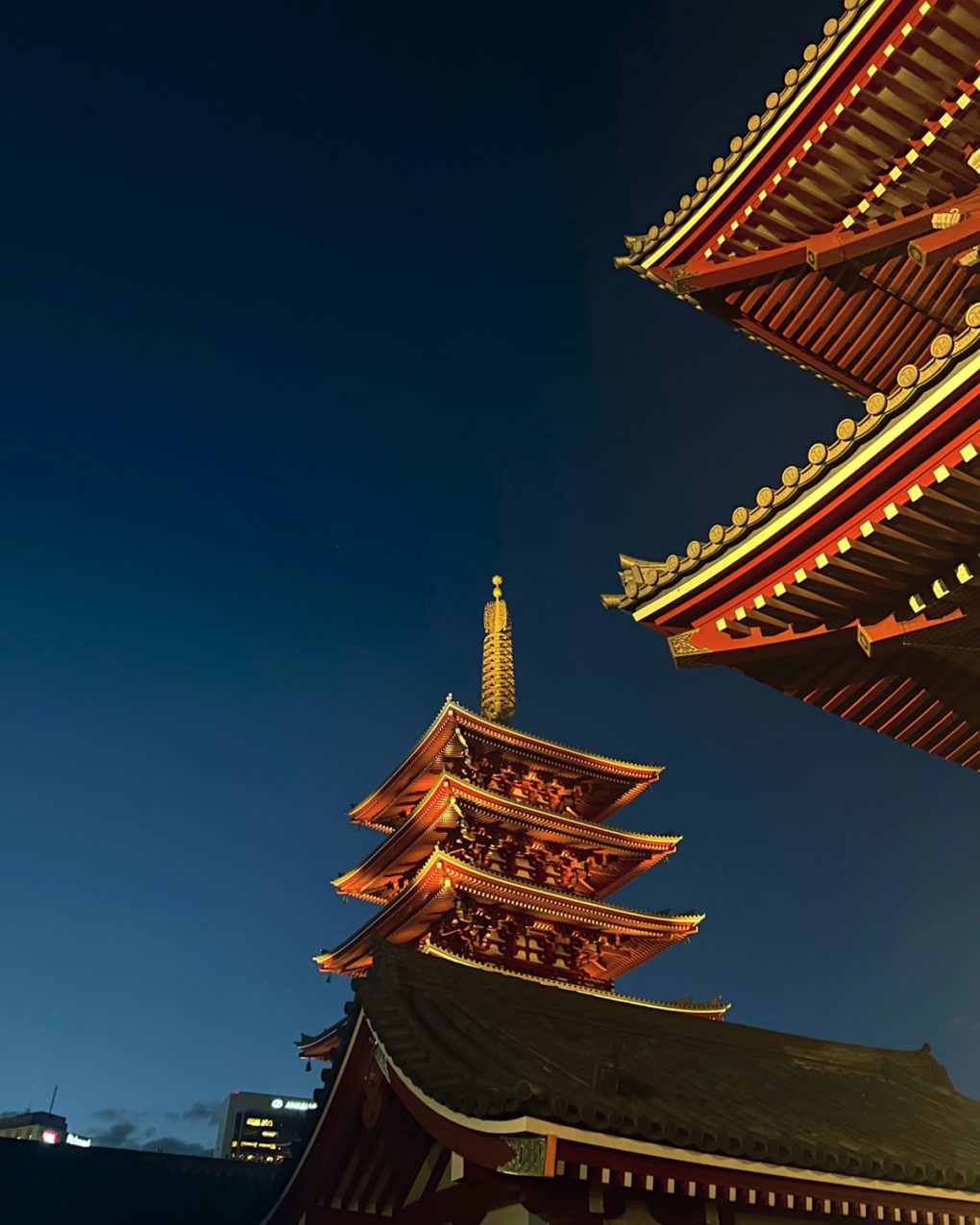 El curso exploró ciudades históricas de Japón mediante experiencias directas con su arte, patrimonio y vida cotidiana.