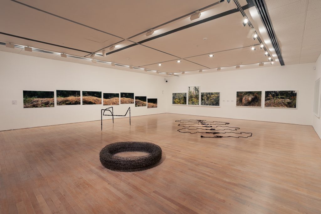 Descubre la exposición retrospectiva de Juan Fernando Herrán en el MAMU, con más de 80 obras que abarcan tres décadas.