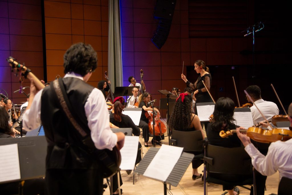 La Orquesta de los Andes invita a todos los instrumentistas interesados a integrar su banco de artistas para la temporada 2026