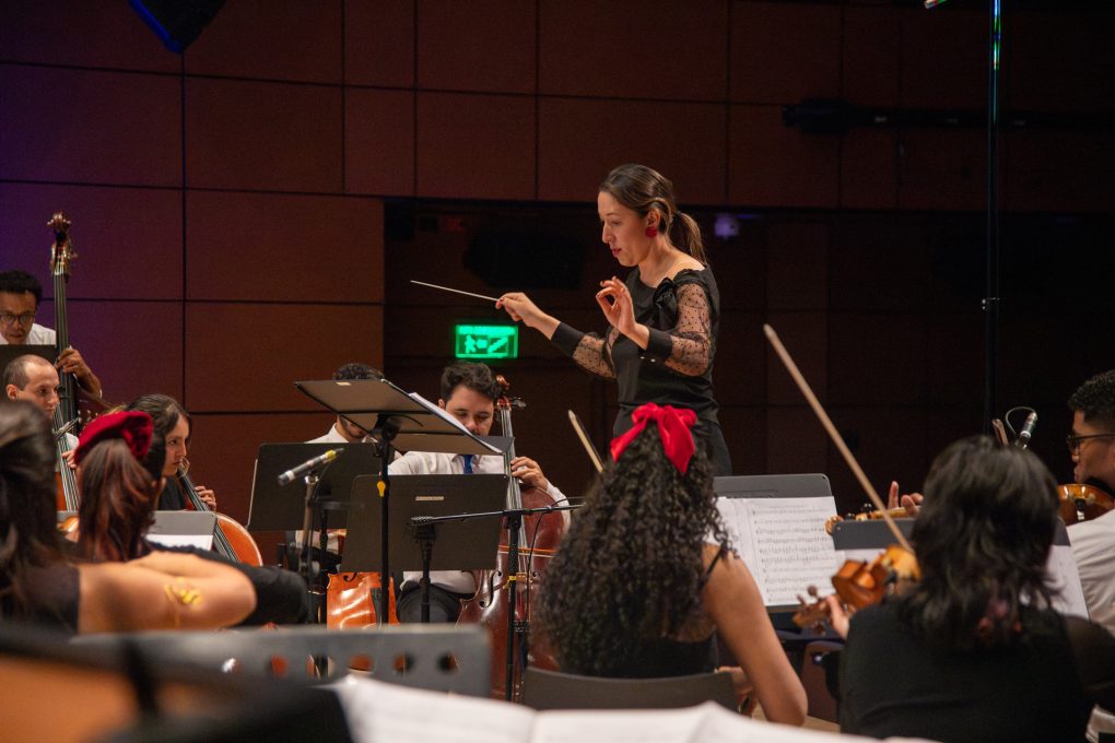La Orquesta de los Andes invita a todos los instrumentistas interesados a integrar su banco de artistas para la temporada 2026