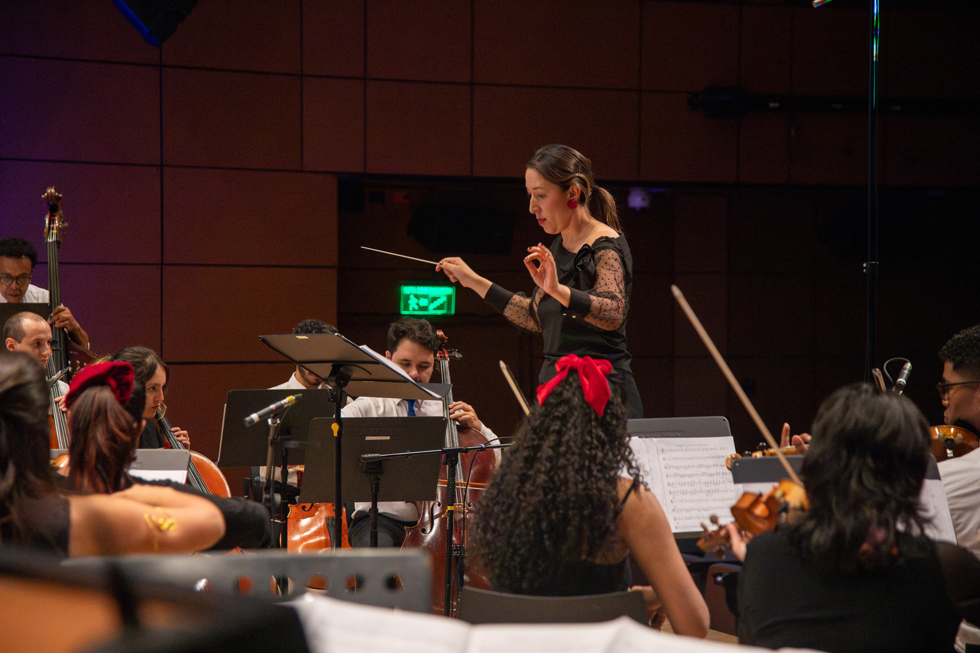 La Orquesta de los Andes invita a todos los instrumentistas interesados a integrar su banco de artistas para la temporada 2026