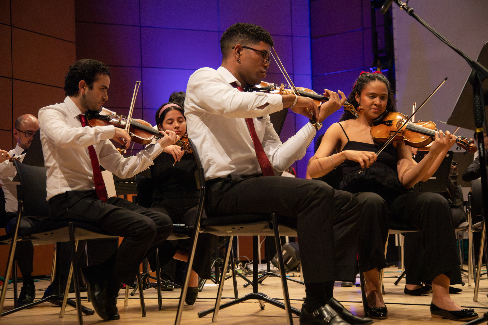 La Orquesta de los Andes invita a todos los instrumentistas interesados a integrar su banco de artistas para la temporada 2026
