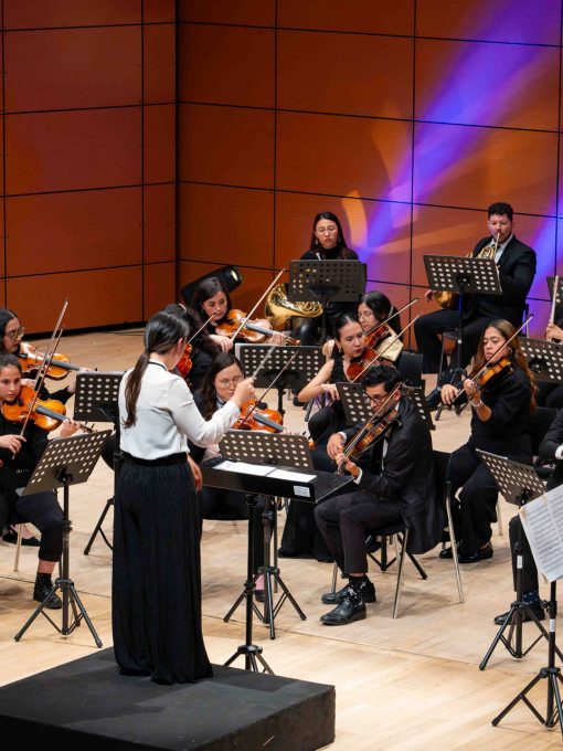 La Orquesta de los Andes invita a todos los instrumentistas interesados a integrar su banco de artistas para la temporada 2026