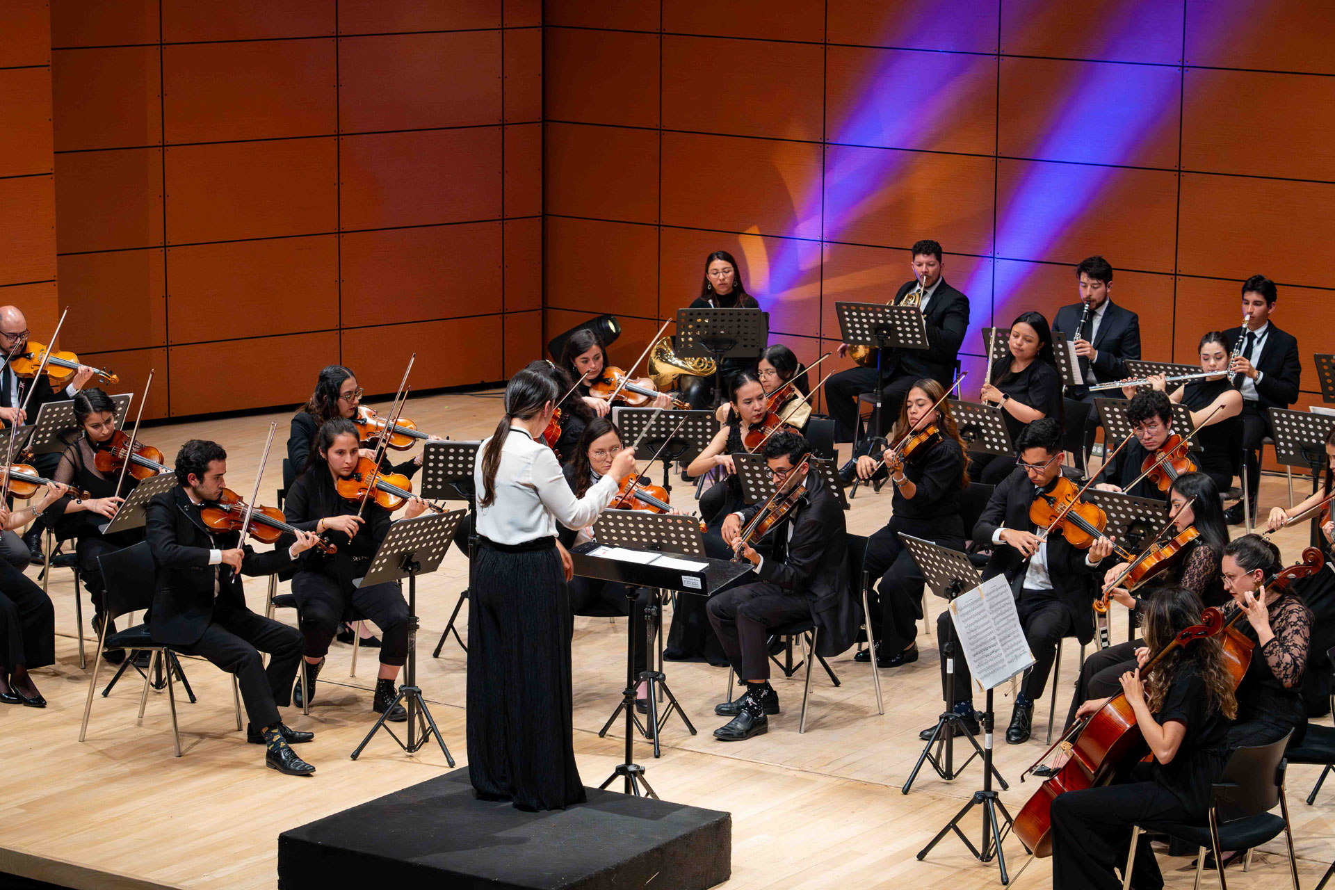 La Orquesta de los Andes invita a todos los instrumentistas interesados a integrar su banco de artistas para la temporada 2026