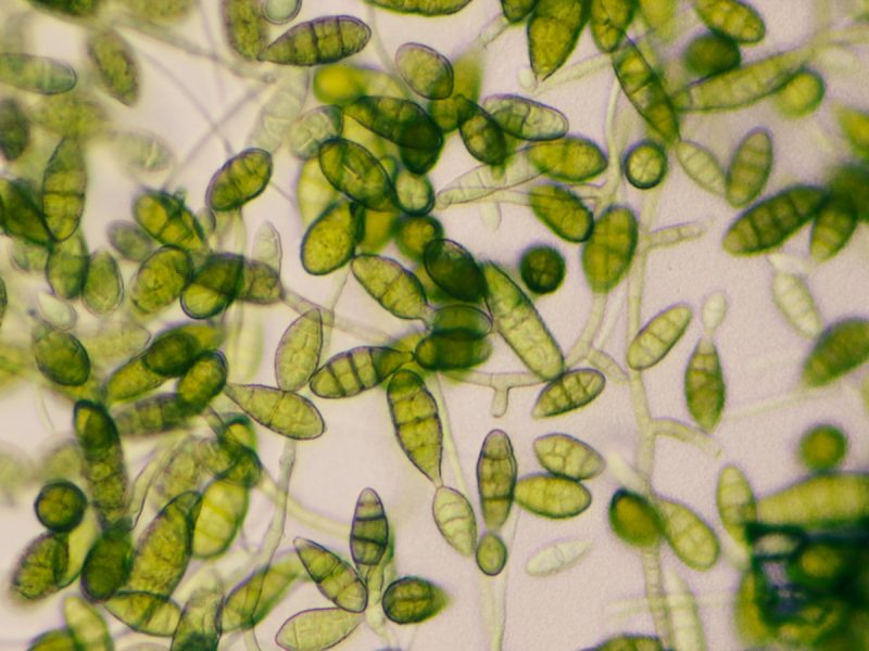 Herramientas laboratorio de estudios en arte y patrimonio – leap.