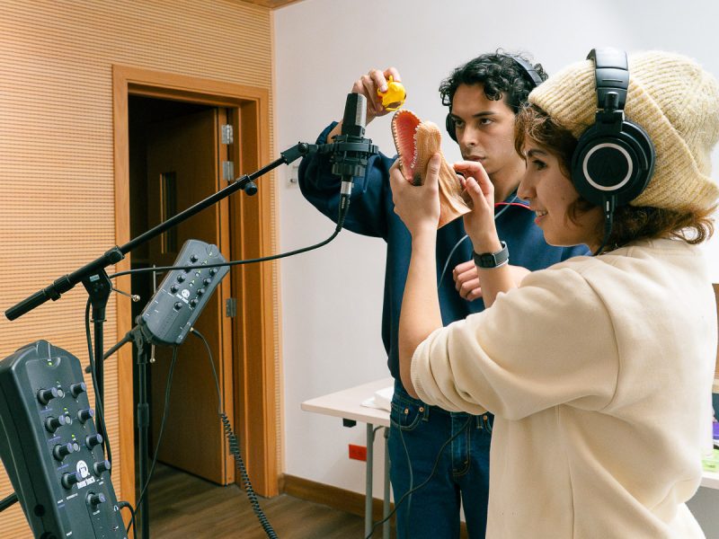 Herramientas estudios de grabación y edición de audio.