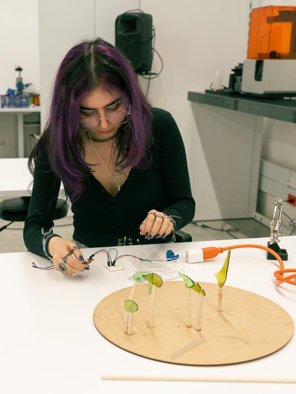 Herramientas la granja electrónica.