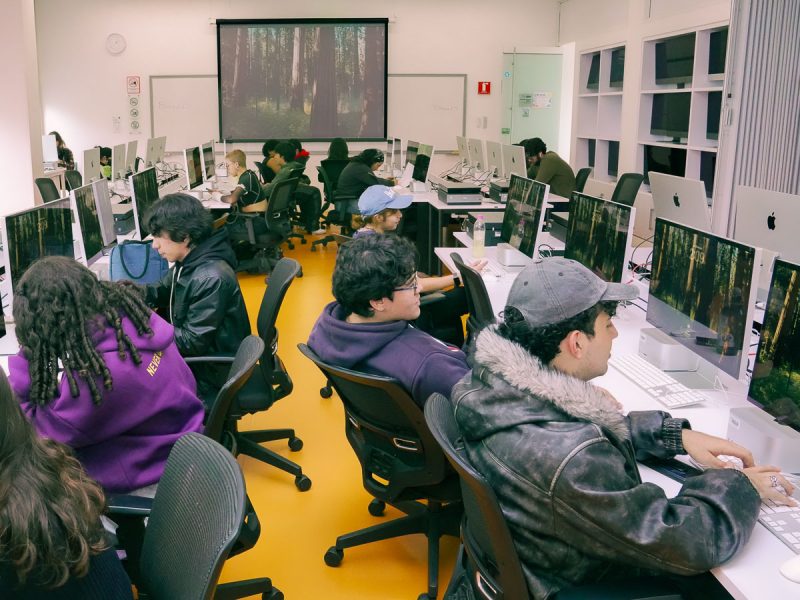 Herramientas bosque virtual.