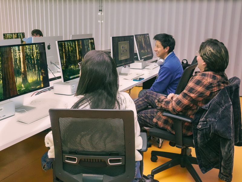 Herramientas bosque virtual.