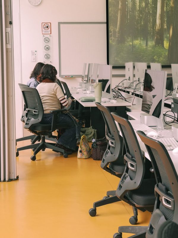 Herramientas bosque virtual.