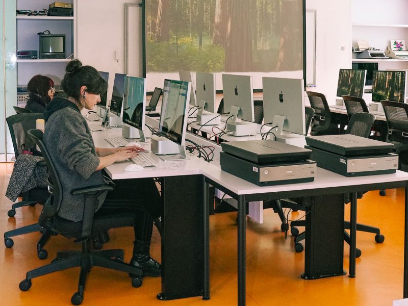 Herramientas bosque virtual.