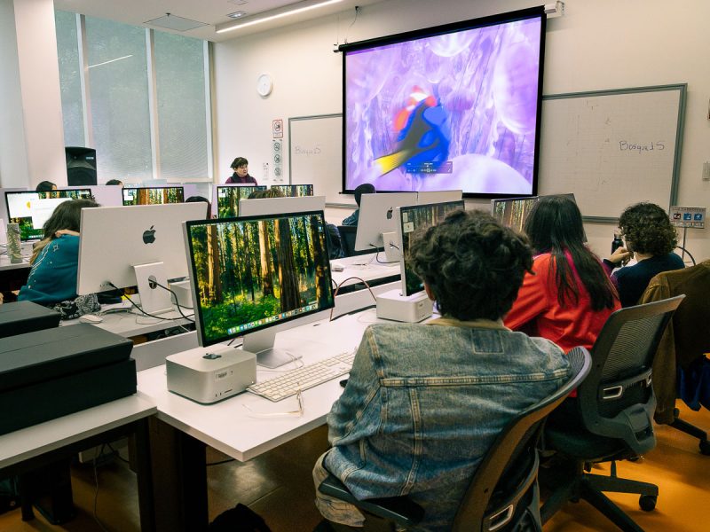 Herramientas bosque virtual.