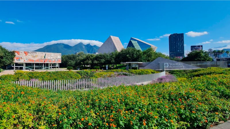 Imagen del anuncio seleccionados de la convocatoria: miradas latinoamericanas. curso de intercambio internacional — tec de monterrey