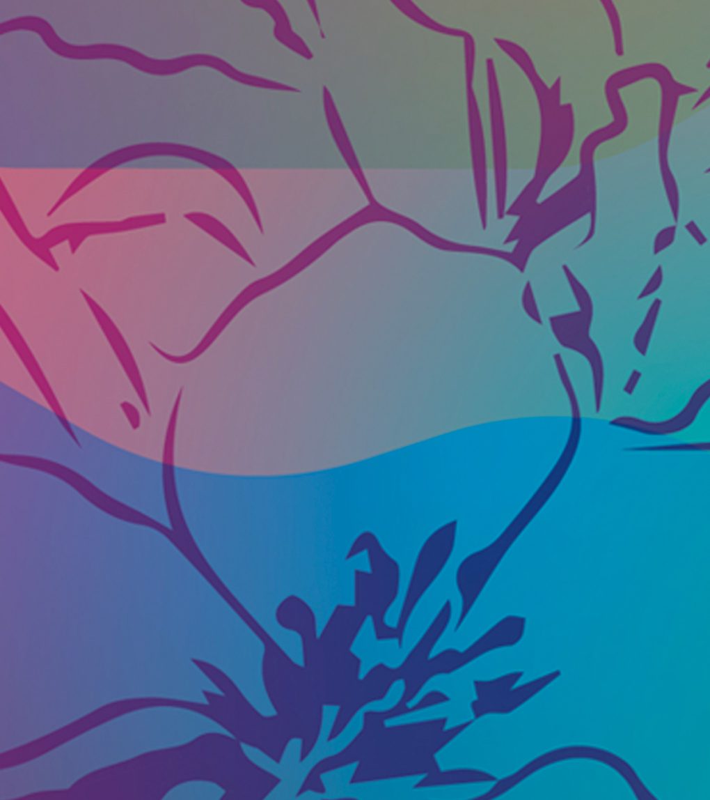 Kōbai no kiseki: Trayectoria visual de la revista, exposición abierta hasta el jueves 26 de marzo de 2026 en El Azulejo de San Felipe