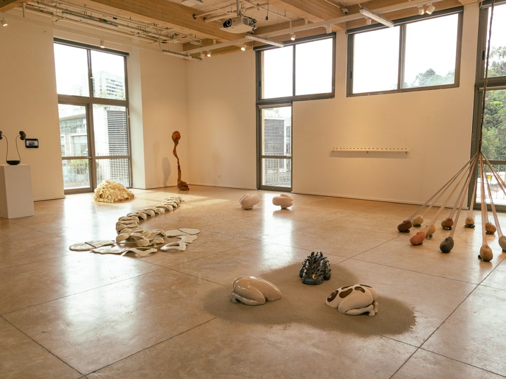 S1-206 | T-205 Salas de exposiciones