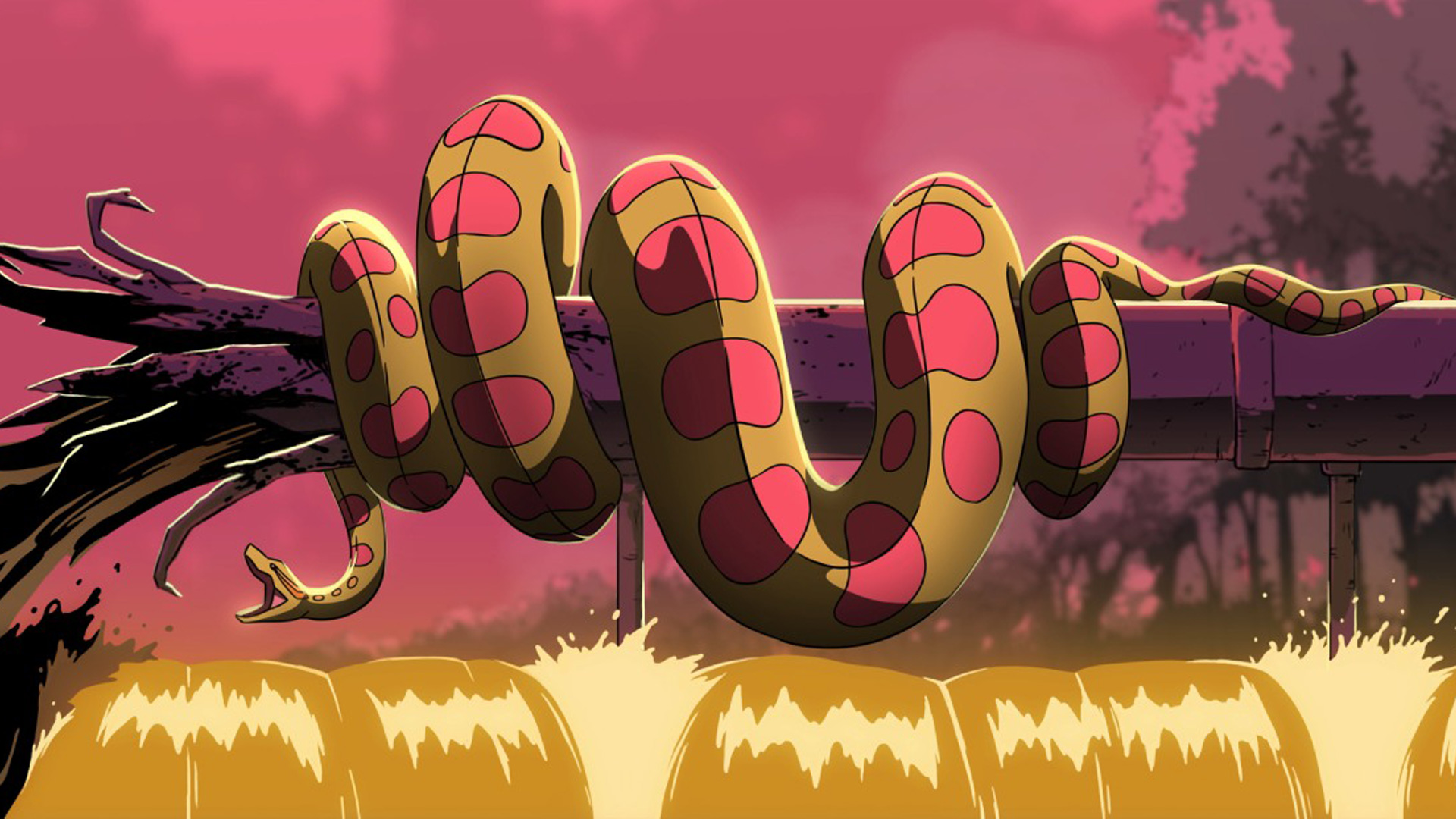 Descubre cómo Nicolás Parra transforma la boa constrictora en un símbolo ecológico en su película BOA. Miércoles 29 de abril a las 11:00 a.m.