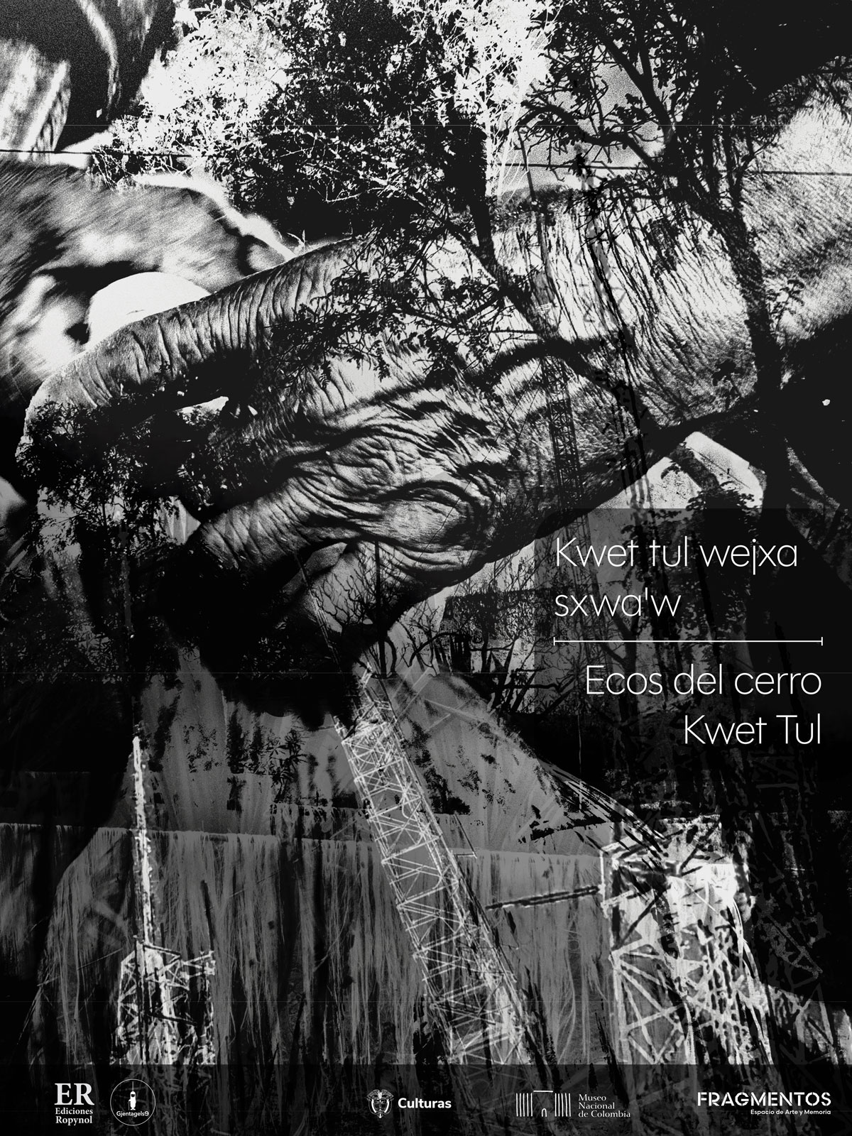 Ecos del cerro Kwet tul — Charla y visita guiada con Sandra Rengifo