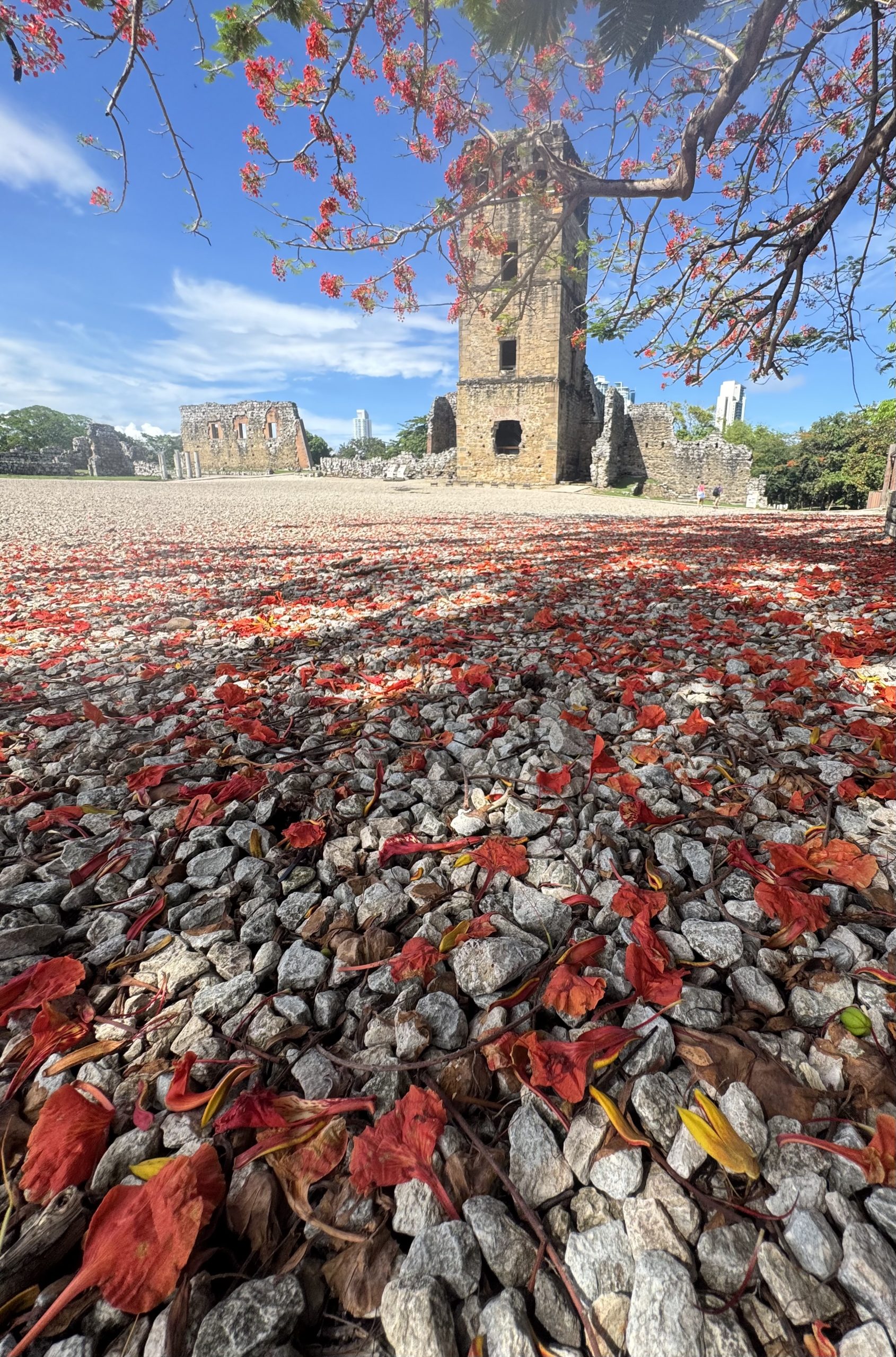 Panamá-Viejo