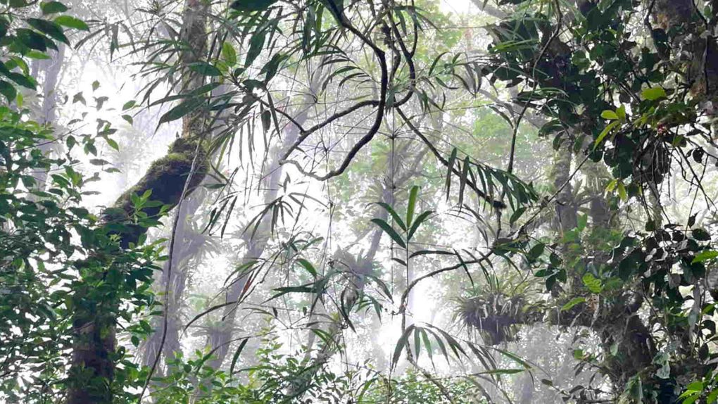 Conferencia de Yesenia López García, próximo miércoles 5 de mayo de 2026 a las 9:00 a.m. en el salón RGD-001 en la Universidad de los Andes.