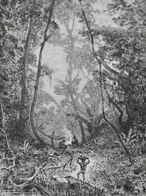 Imagen del anuncio viajeros del orinoco, siglo xix: proyecto nominado a los digital humanities awards 2026