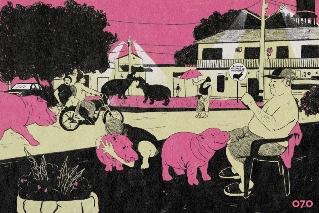 Negociar con un hipopótamo: la vida cotidiana en Puerto Triunfo