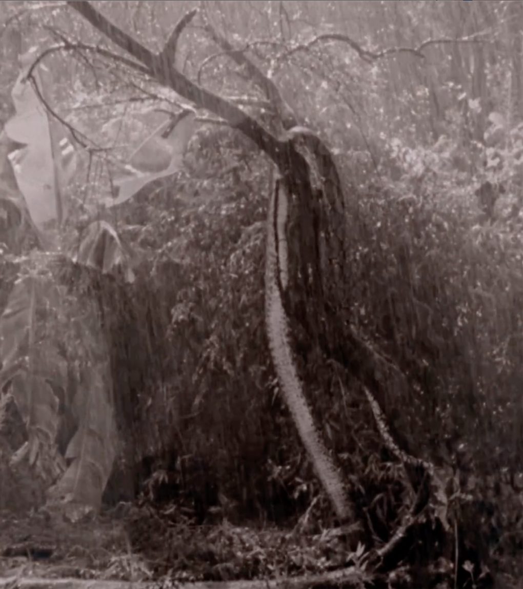 Exposición abierta del jueves 23 de abril hasta el viernes 22 de mayo de 2026 en la Sala de Proyectos, Universidad de los Andes.