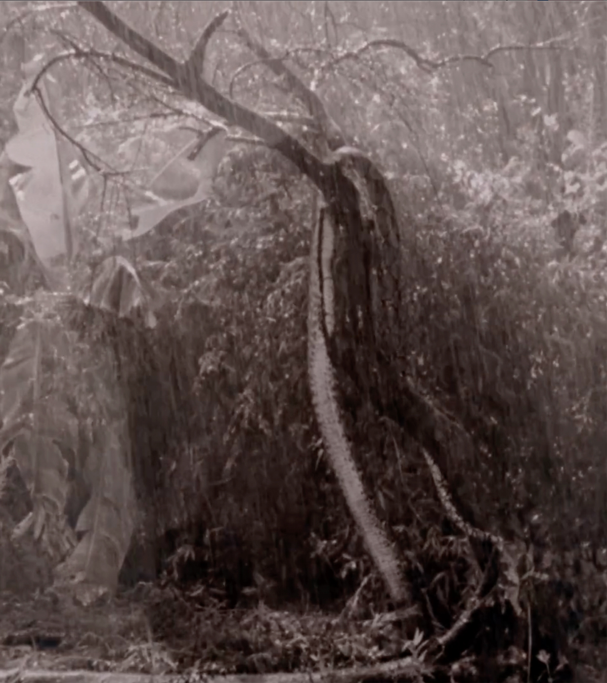 Exposición abierta del jueves 23 de abril hasta el viernes 22 de mayo de 2026 en la Sala de Proyectos, Universidad de los Andes.