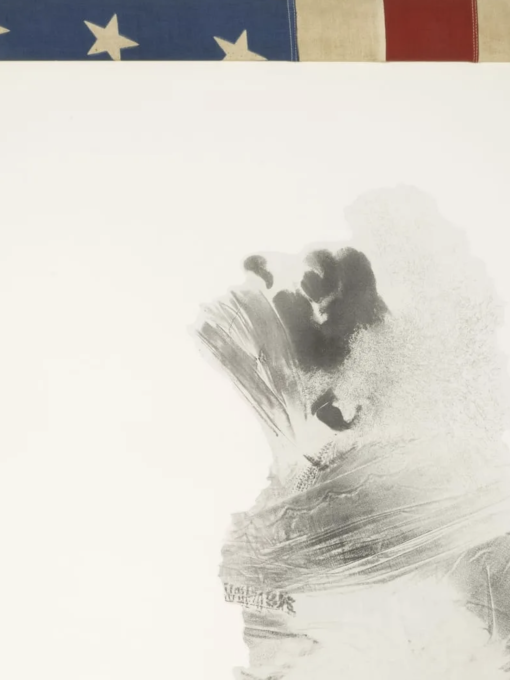Injustice Case de David Hammons