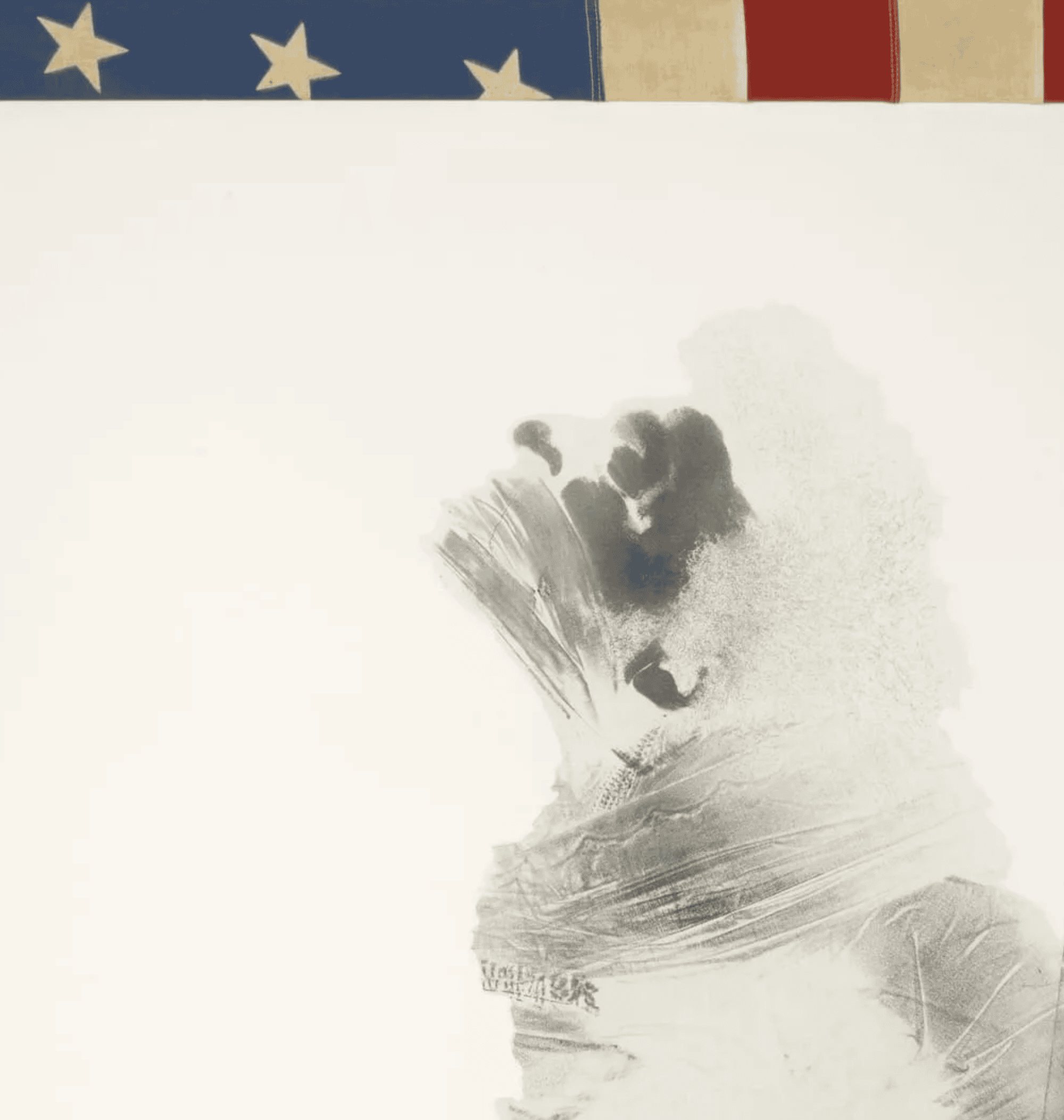 Injustice Case de David Hammons