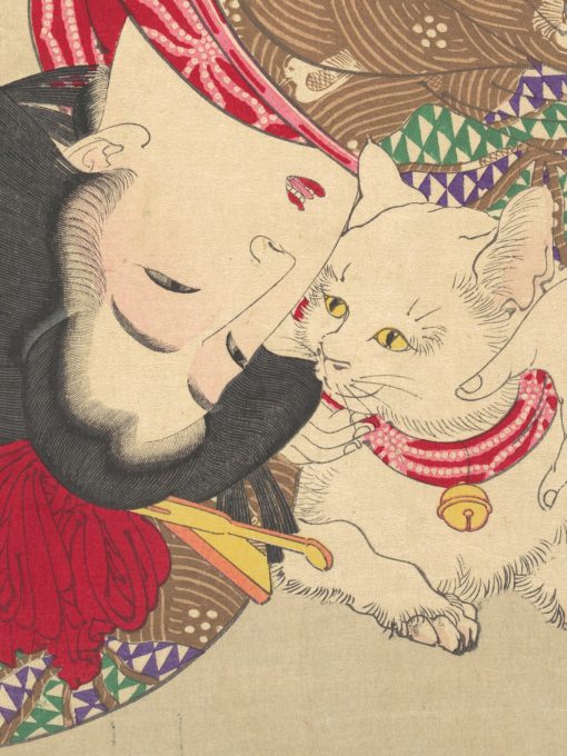 The Appearance of a Virgin of the Kansei Era (by Tsukioka Yoshitoshi),