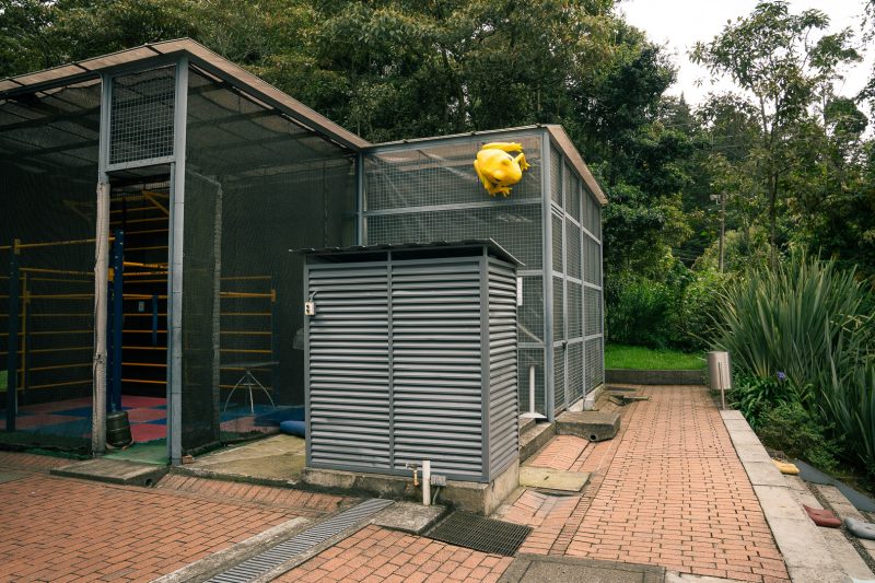 Imagen del anuncio la rana encontró su lugar en el taller de gran formato del edificio ga
