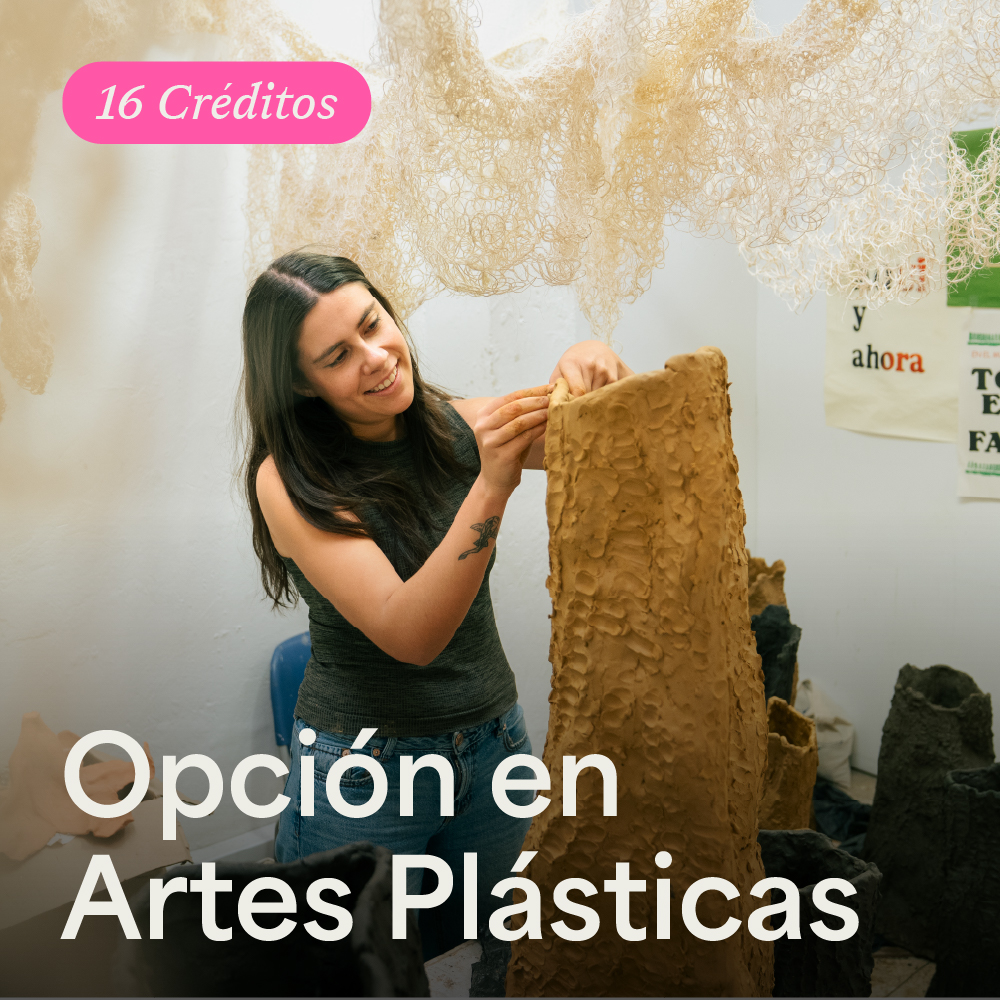 Portada Opción en Artes Plásticas
