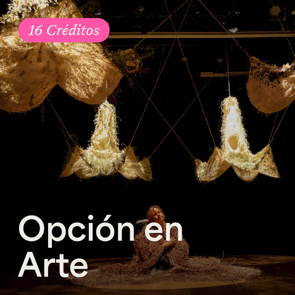Portada Opción en Arte