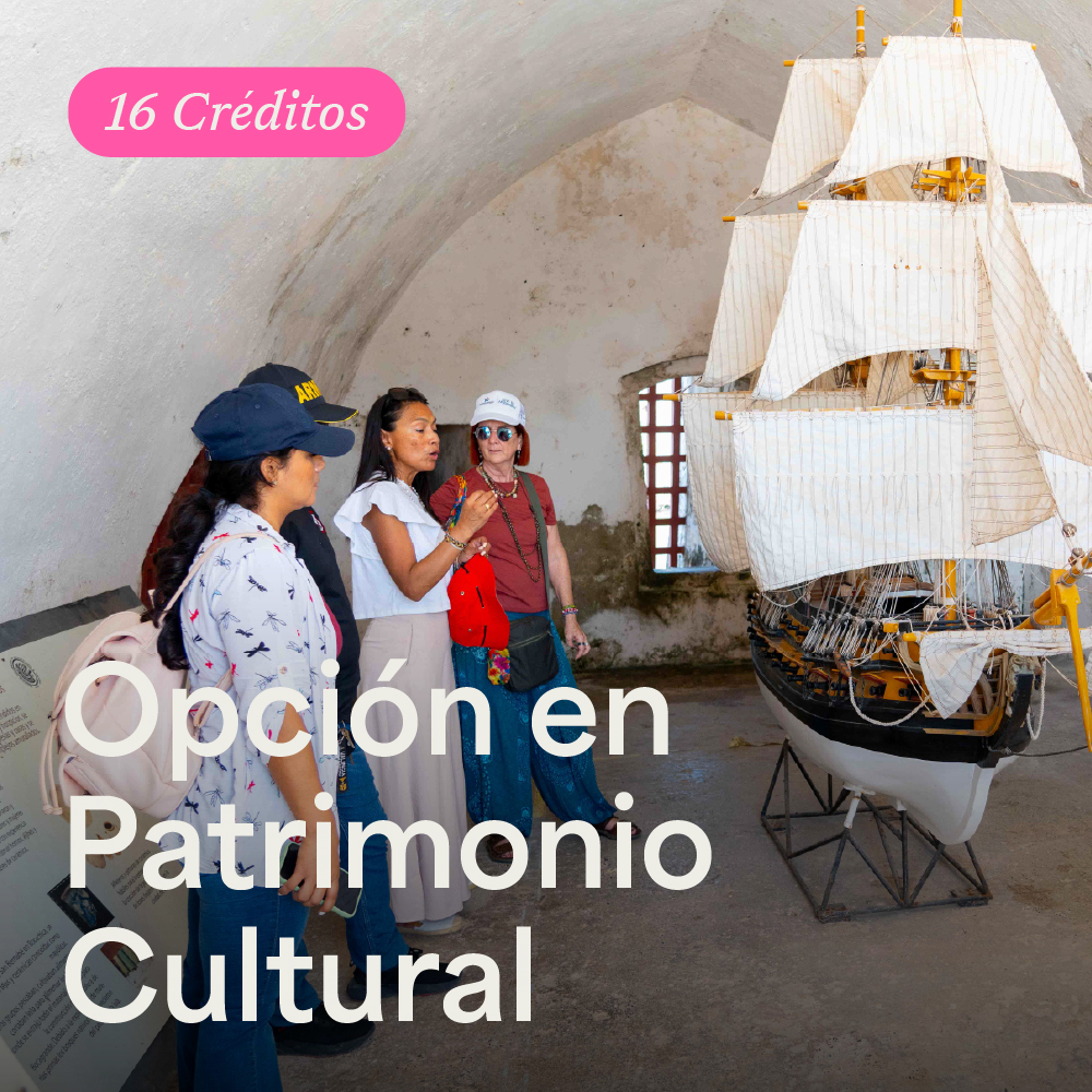 Portada Opción en Patrimonio Cultural