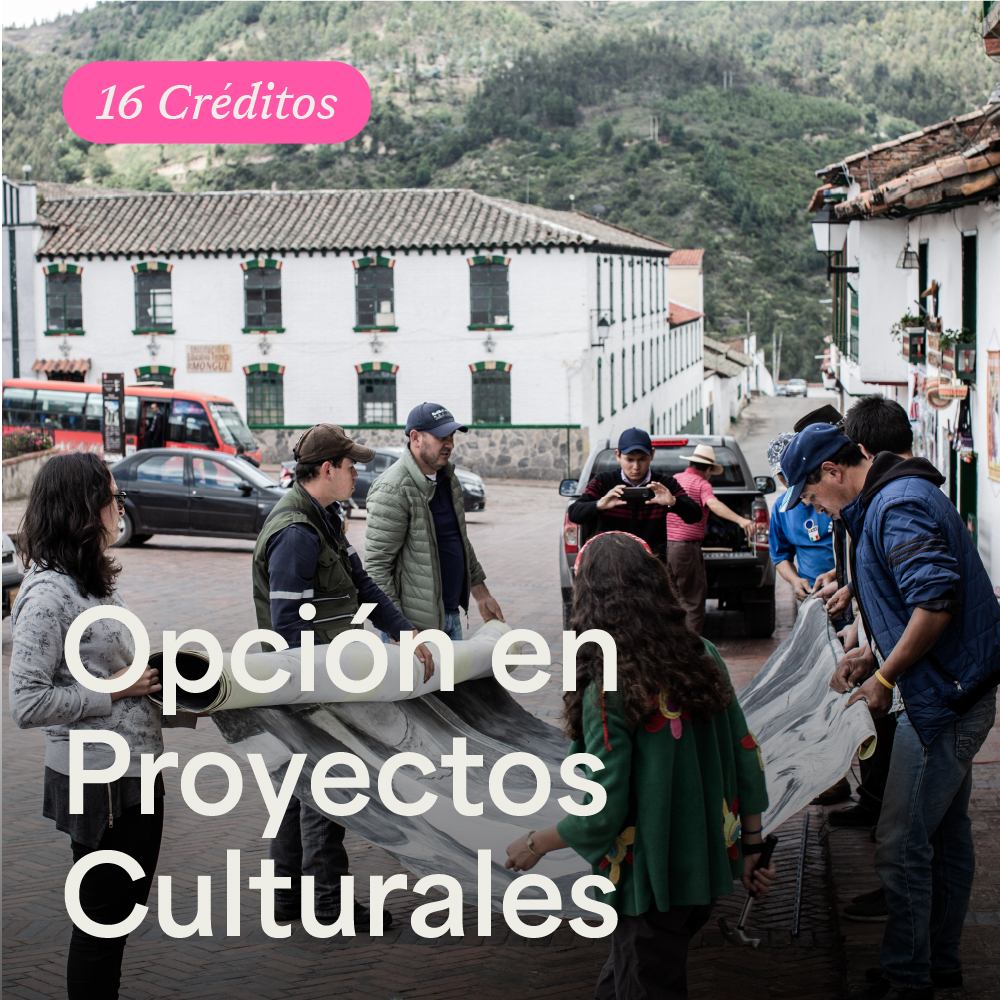 Portada Opción en Proyectos Culturales