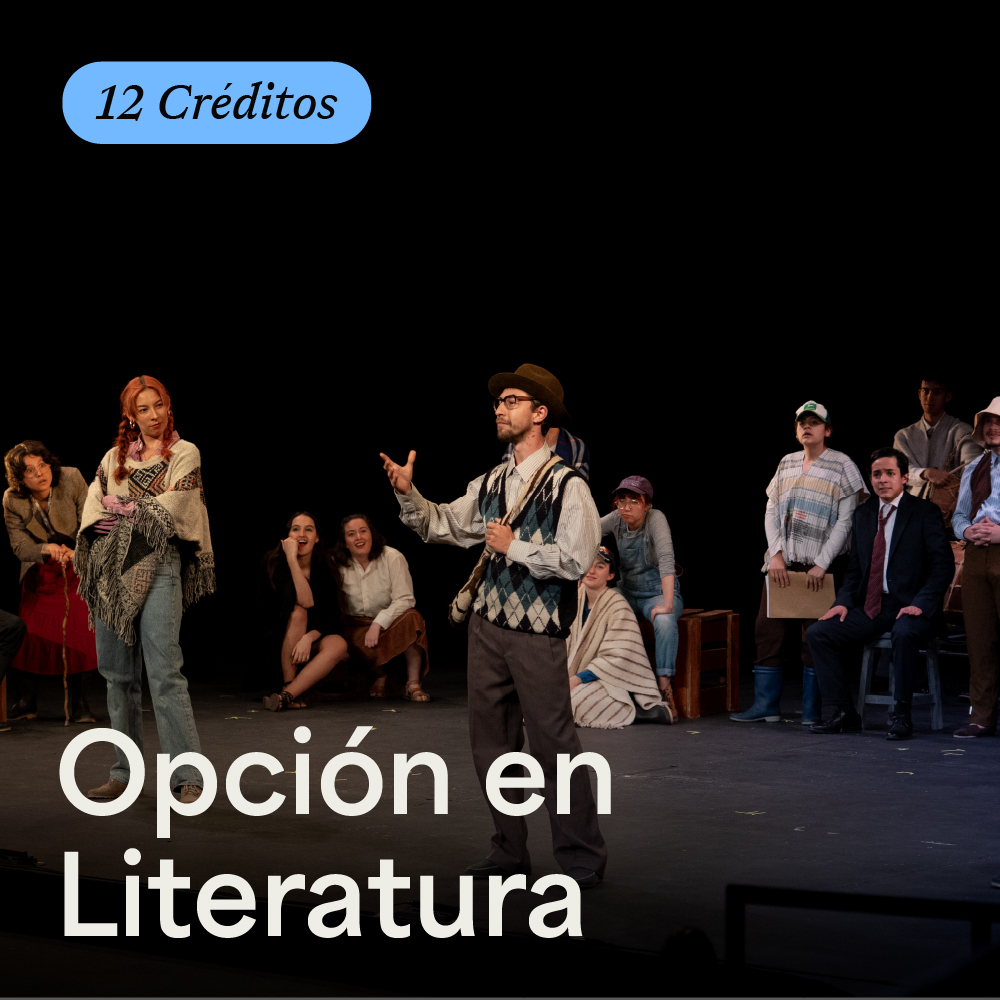 Portada de Opción en Literatura