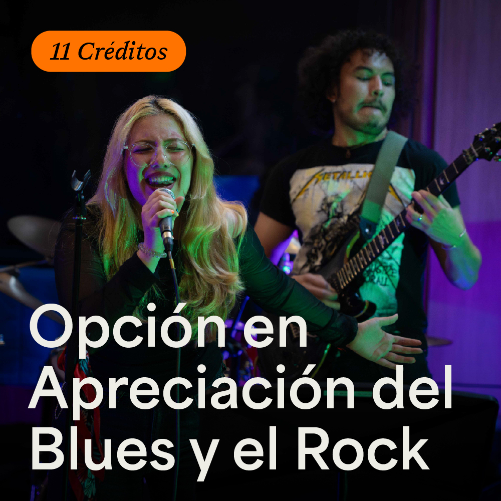 Portada de Opción en Apreciación del Blues y el Rock