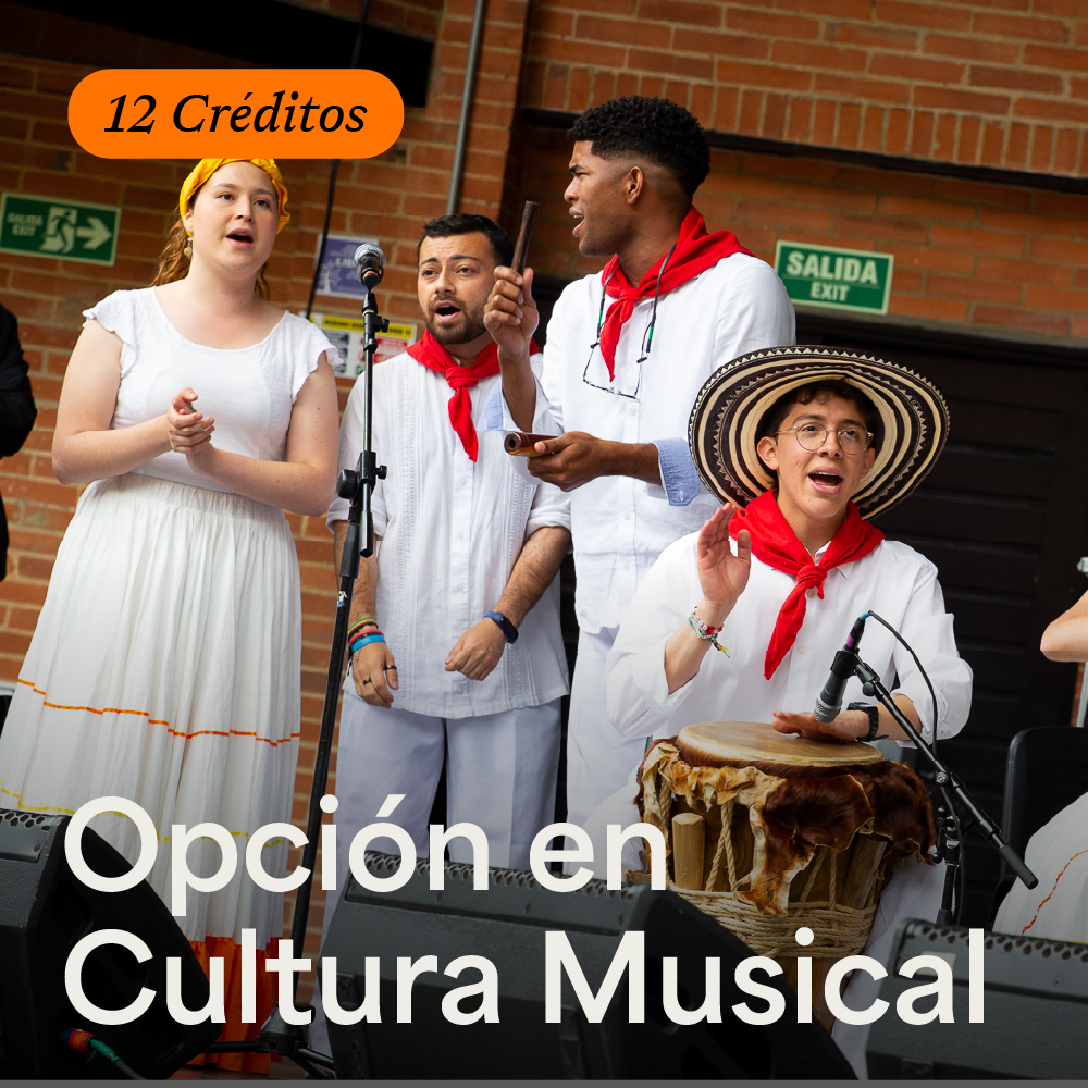 Opción en Cultura musical