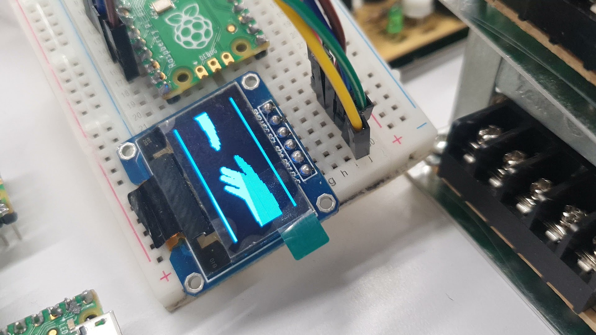 Imagen para el curso información y forma
