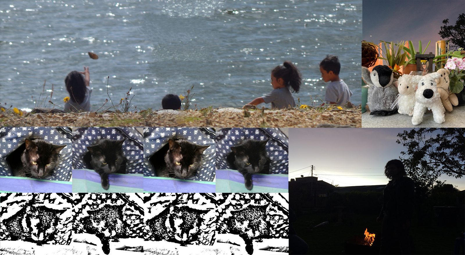 Imagen curso exp audiovisual