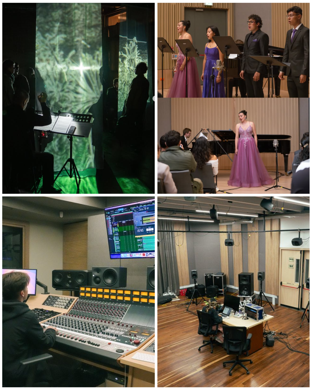 Imagen del curso Proyecto de grado en música
