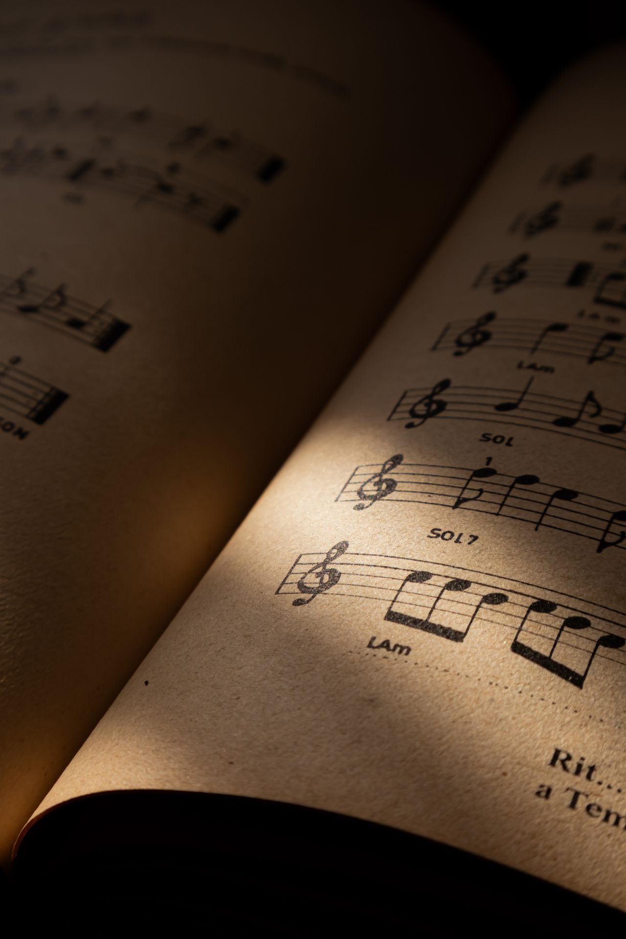 Imagen para el curso Memorias Musicales