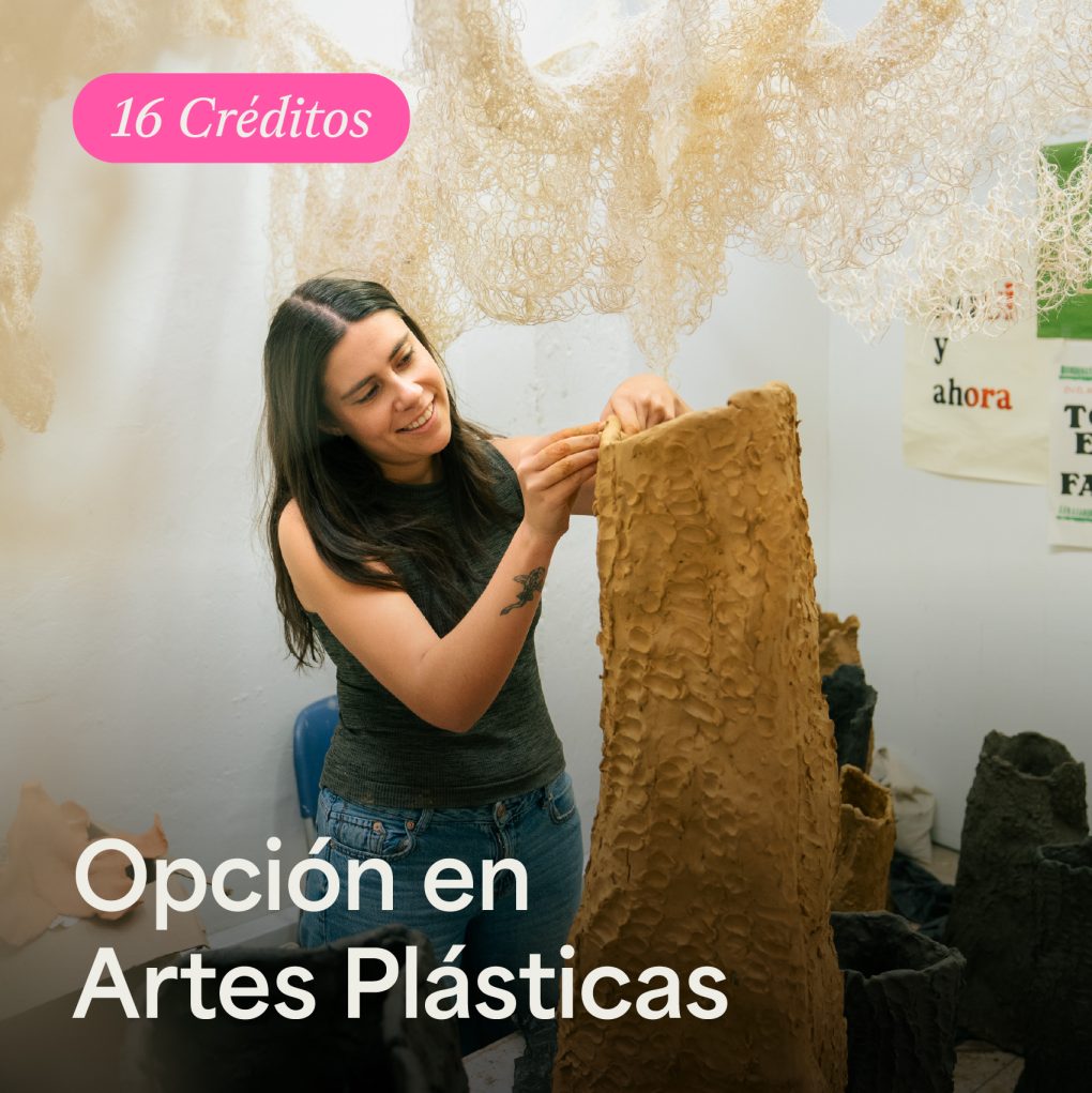 Opción en Artes Plásticas - ArteHum