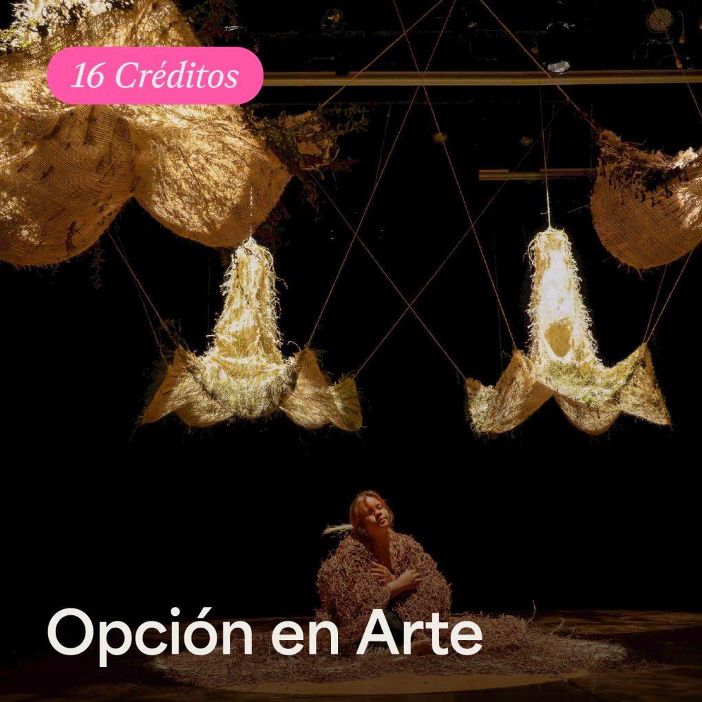 Opción en Arte - ArteHum