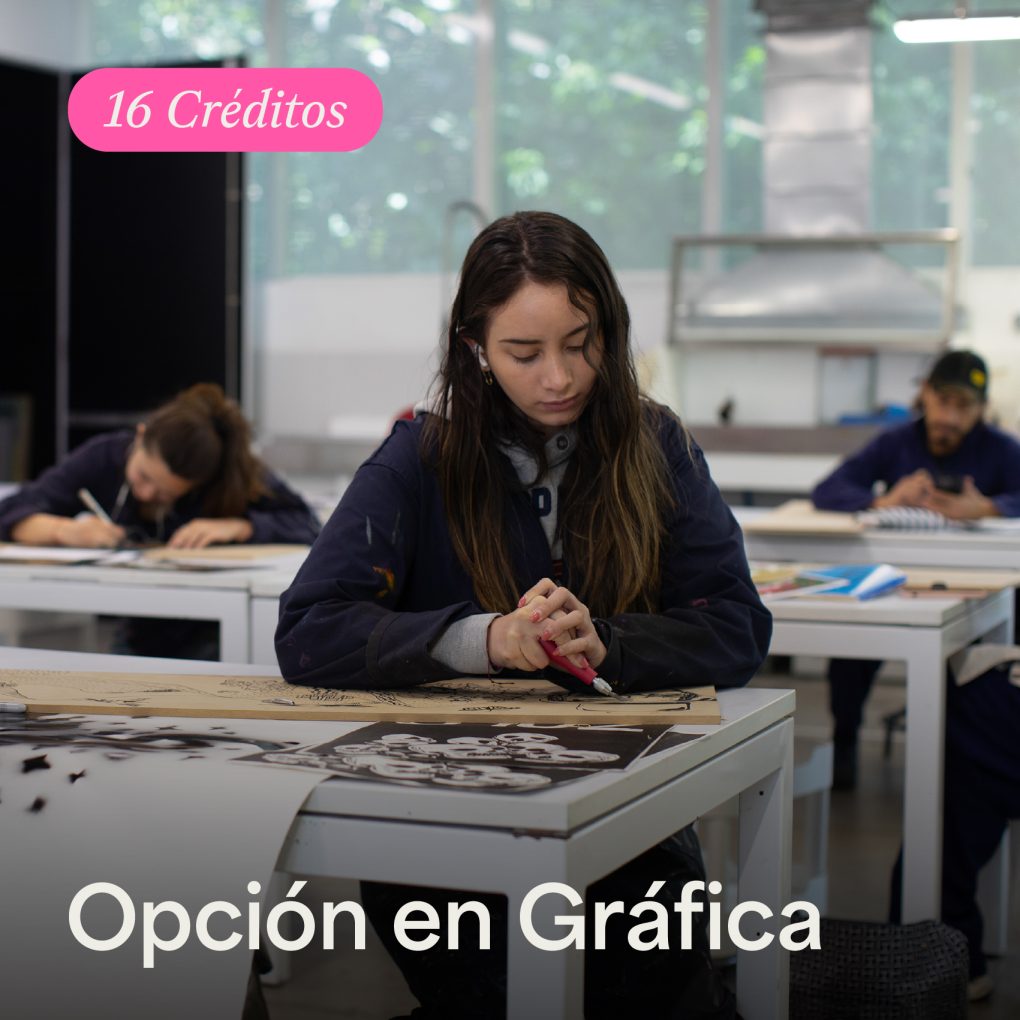 Opción en Gráfica - ArteHum