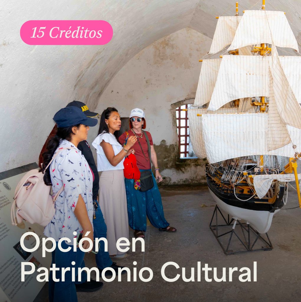 Opción en Patrimonio Cultural - ArteHum