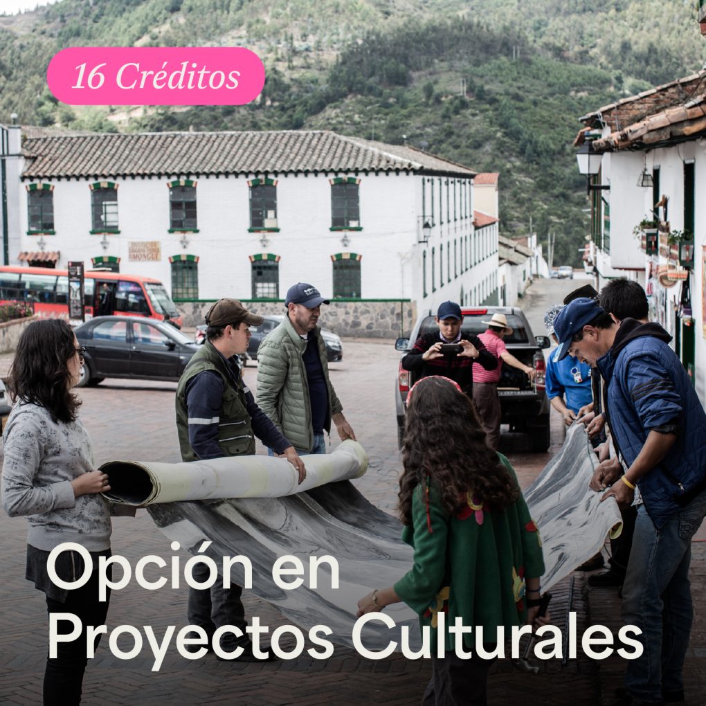 Opción en proyectos Culturales - ArteHum