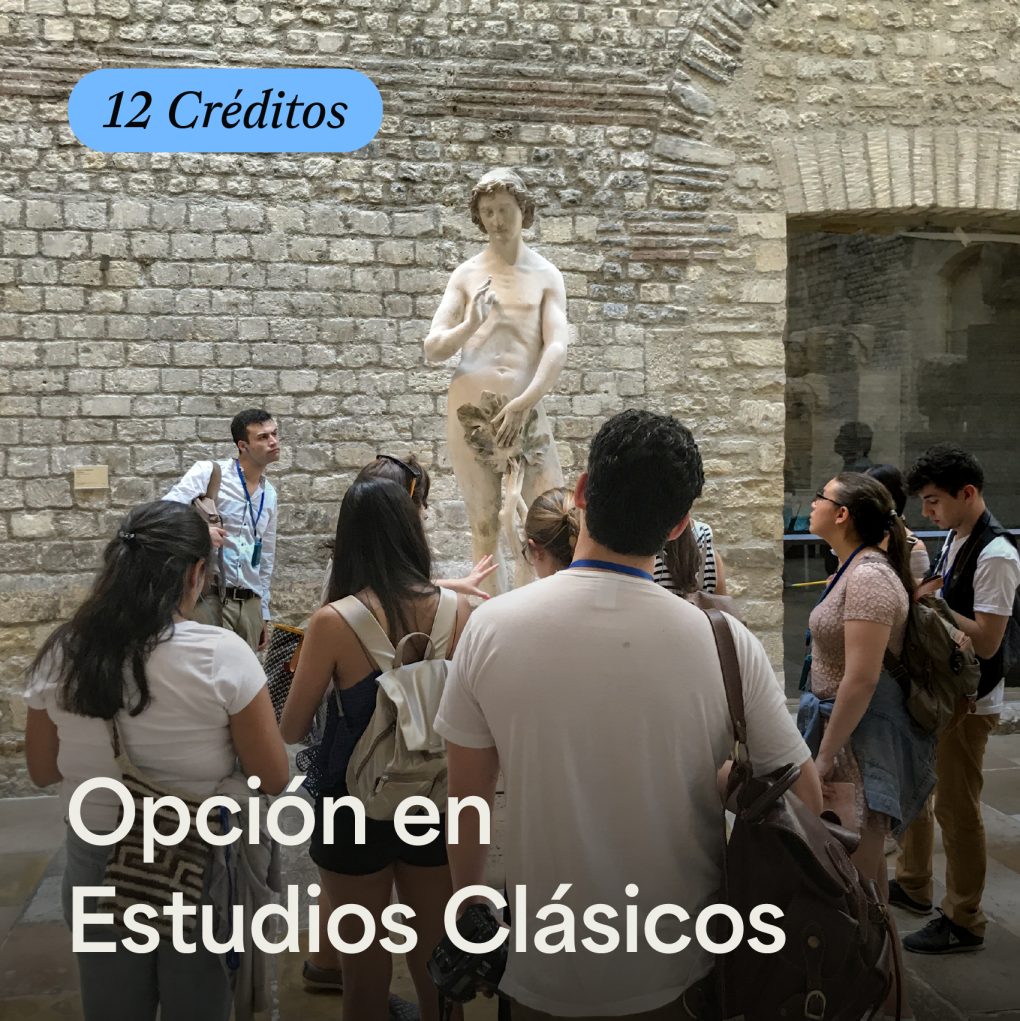 Opción en Estudios Clásicos - ArteHum