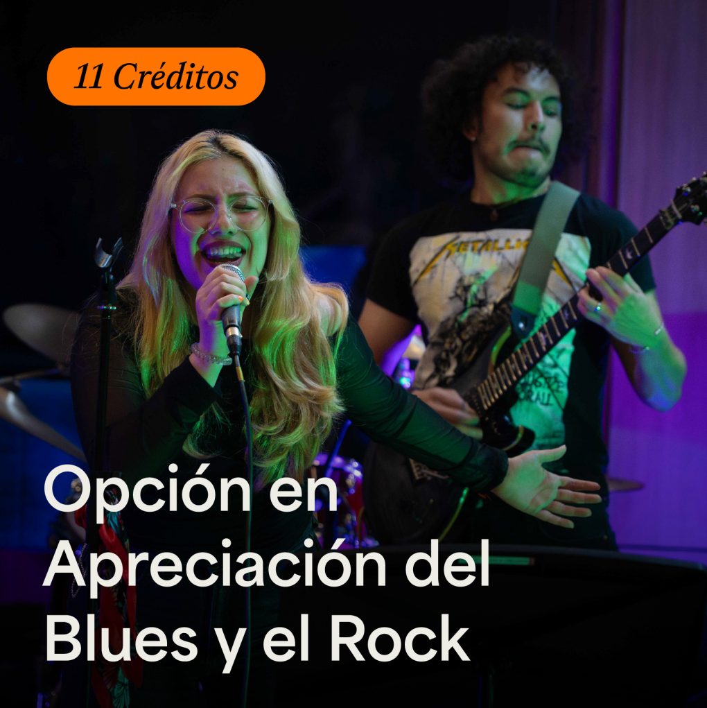 Opción en Apreciación del Blues y el Rock - ArteHum